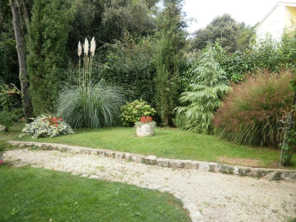 In With Terrace, Air Condition, Wifi, Washing Machine Apartman Rovinj