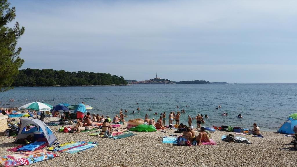 Apartman In With Terrace, Air Condition, Wifi, Washing Machine Rovinj