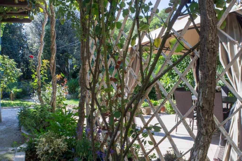 Apartment In With Terrace, Air Condition, Wifi, Washing Machine Rovinj