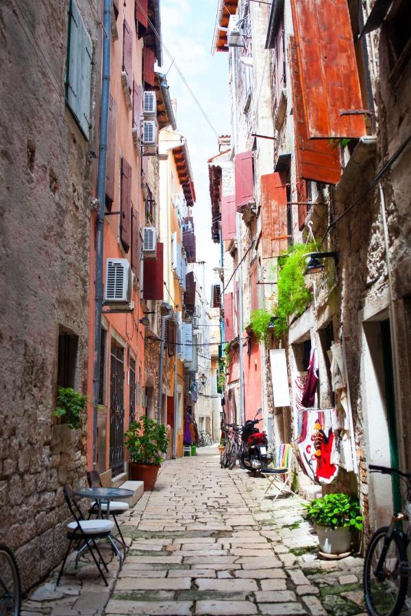 In With Terrace, Air Condition, Wifi, Washing Machine * Rovinj